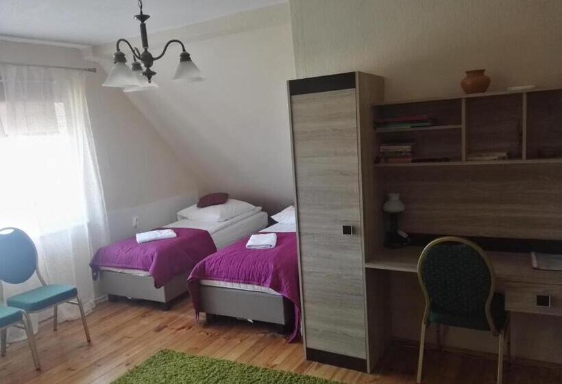 エコノミー４人部屋, Mister