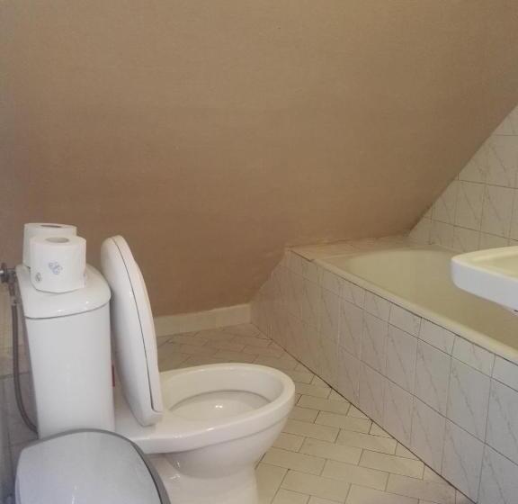 エコノミー４人部屋, Mister