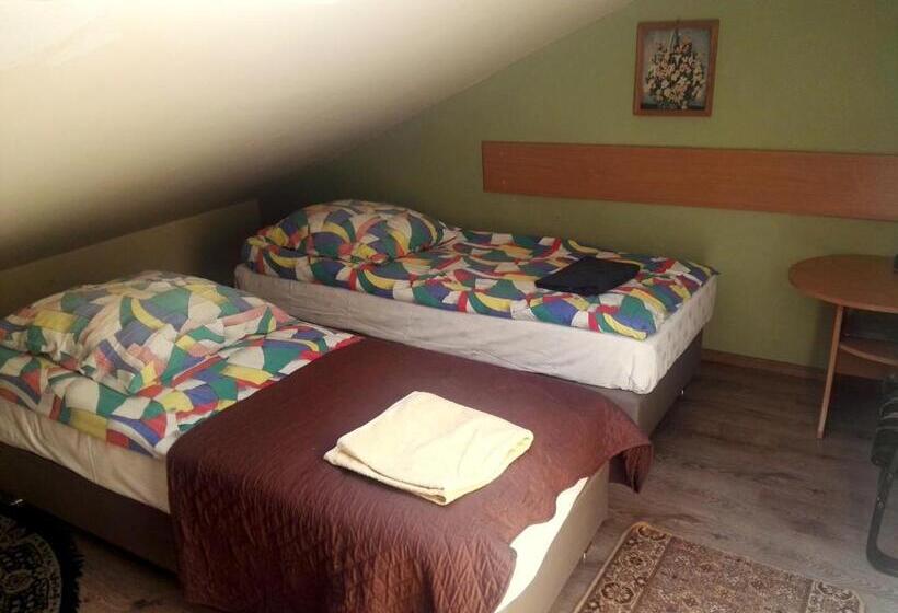 エコノミートリプルルーム, Mister