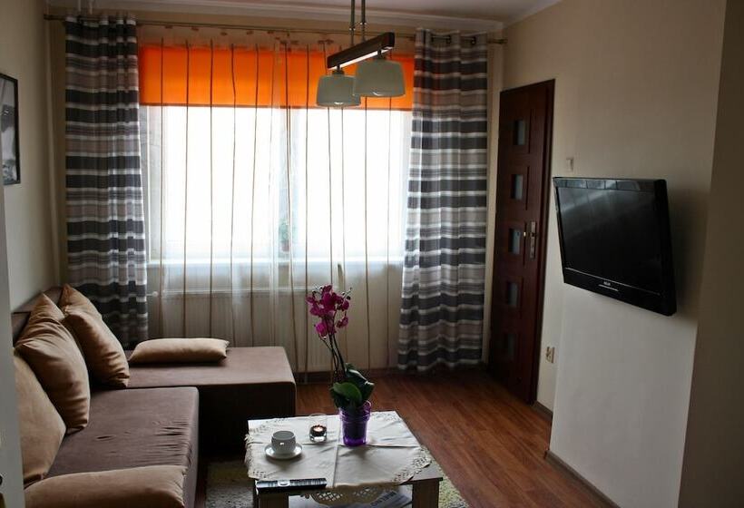 スタンダードシングルルーム, Mister