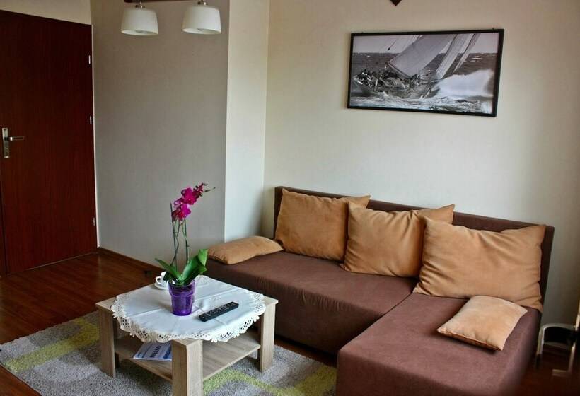 スタンダードルーム, Mister