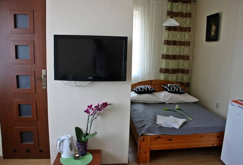 スタンダードルーム, Mister