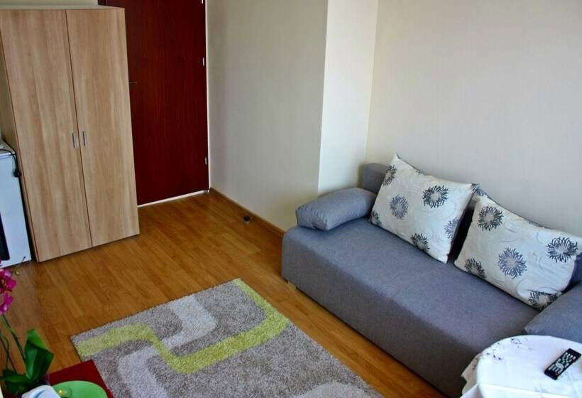 スタンダードシングルルーム, Mister