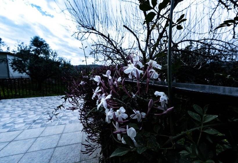 Семейные Апартаменты 3 Спальни, Elaionas Studios