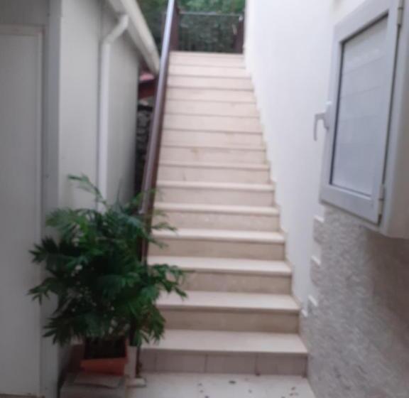 اتاق استاندارد, Pension Holidays