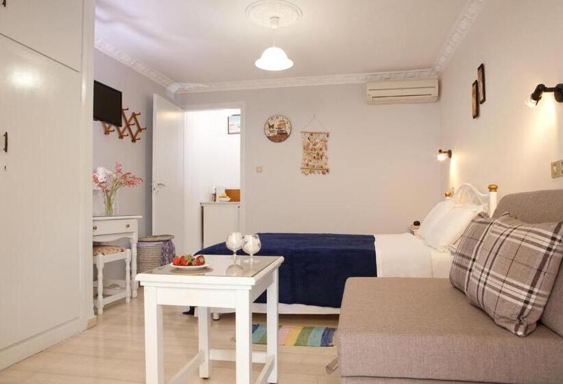 스탠다드 스튜디오, Pension Holidays