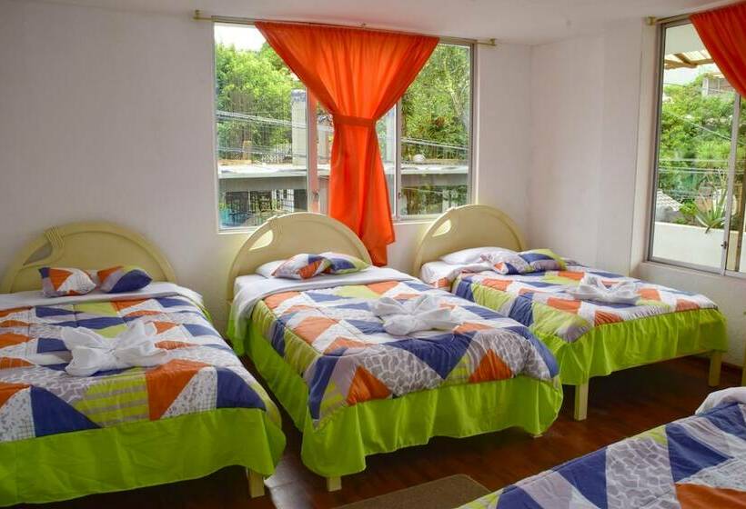 اتاق استاندارد چهار تخته, Santa Cruz Backpackers Hostal