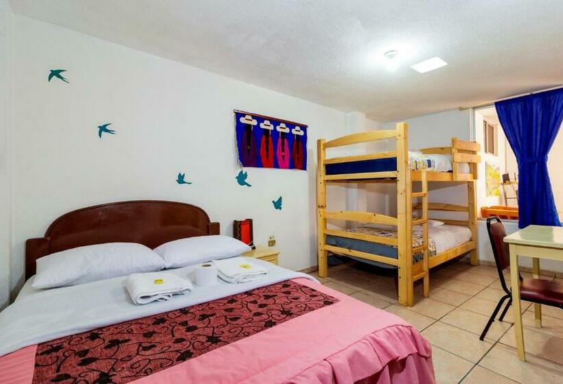 اتاق استاندارد چهار تخته, Santa Cruz Backpackers Hostal