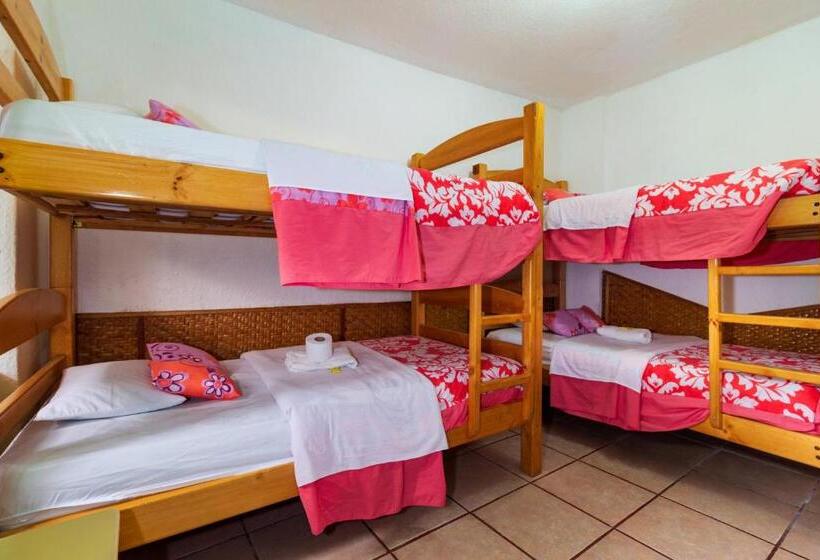 اتاق استاندارد چهار تخته, Santa Cruz Backpackers Hostal