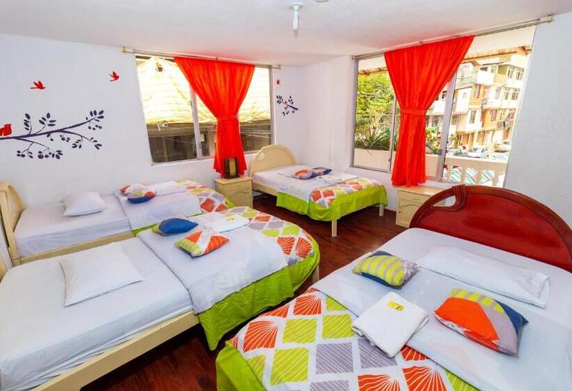 اتاق خانوادگی, Santa Cruz Backpackers Hostal