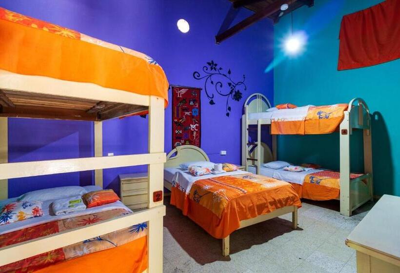 اتاق خانوادگی, Santa Cruz Backpackers Hostal