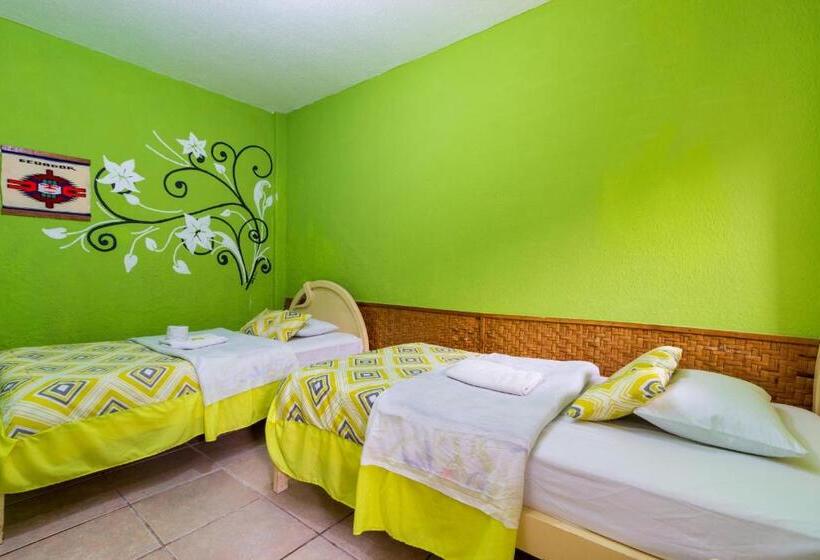 اتاق اکونومی, Santa Cruz Backpackers Hostal