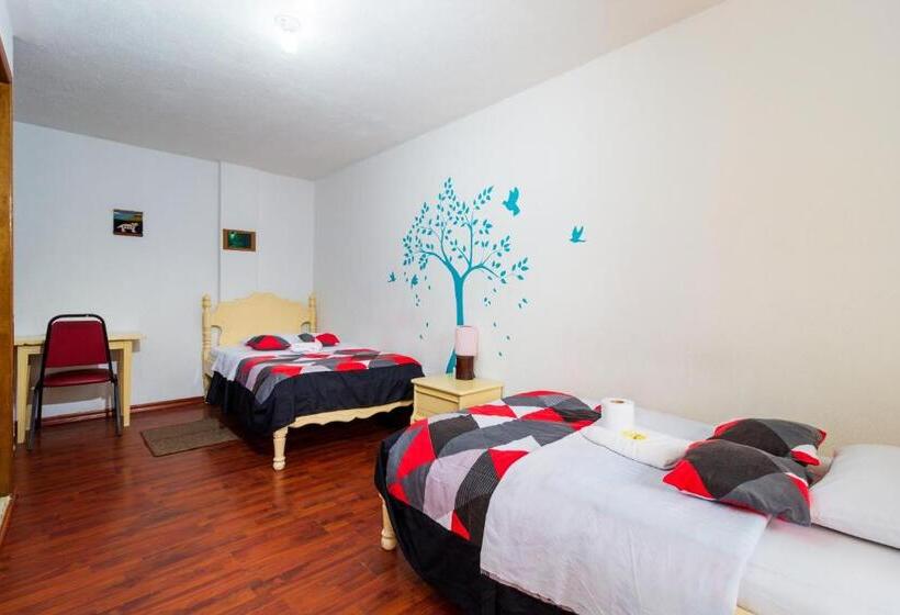 اتاق اکونومی, Santa Cruz Backpackers Hostal