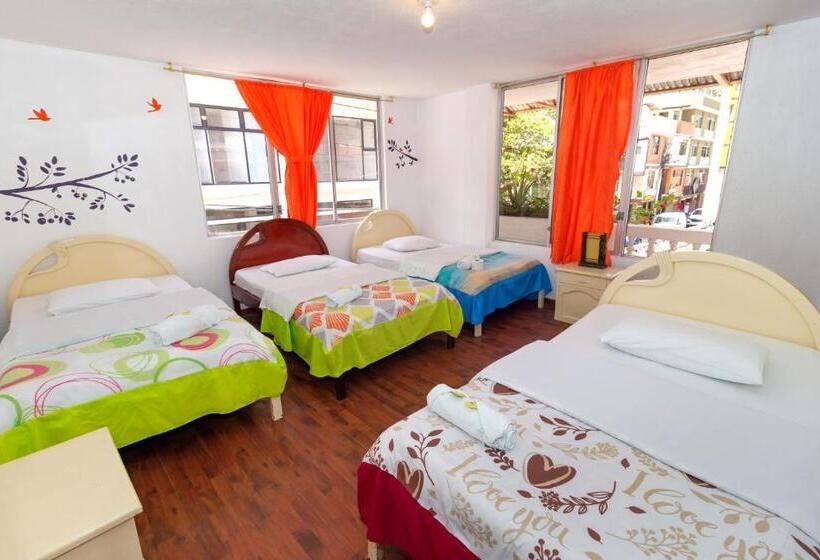 اتاق استاندارد چهار تخته, Santa Cruz Backpackers Hostal