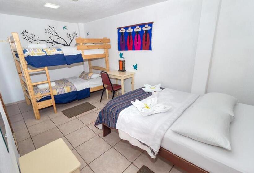 اتاق استاندارد چهار تخته, Santa Cruz Backpackers Hostal