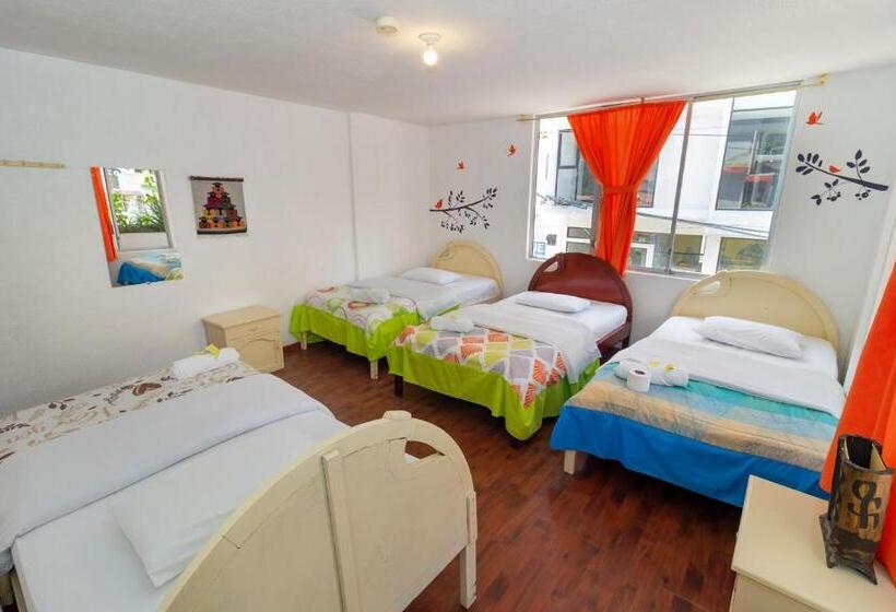 اتاق استاندارد چهار تخته, Santa Cruz Backpackers Hostal