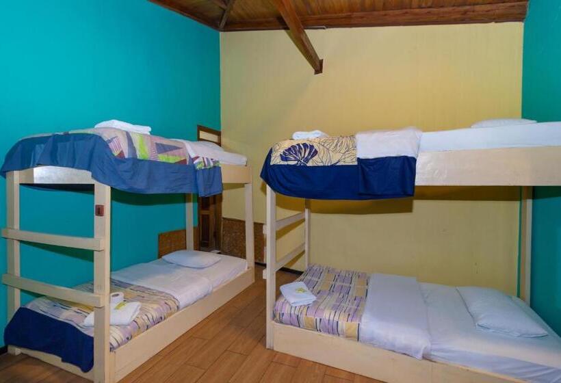 اتاق استاندارد چهار تخته, Santa Cruz Backpackers Hostal