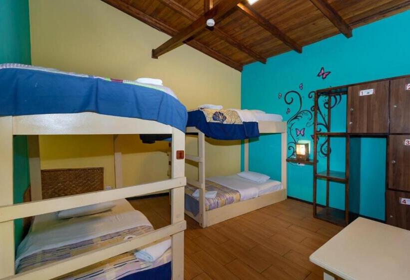 اتاق استاندارد چهار تخته, Santa Cruz Backpackers Hostal