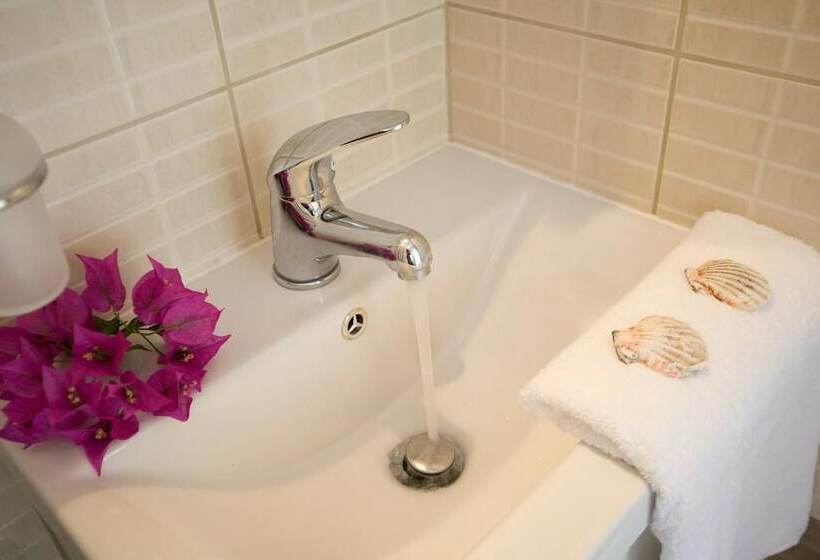 스탠다드 스튜디오, Isalos