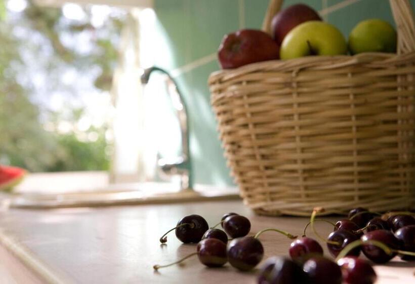 스탠다드 발코니 룸, Isalos