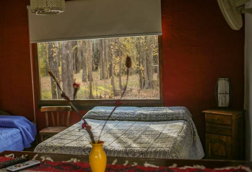 إستوديو ديلوكس, Cabañas En Malargue