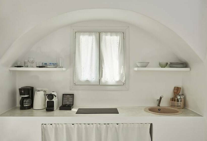 Estudio Estándar Vista Mar Lateral, Iliana Olive Branch