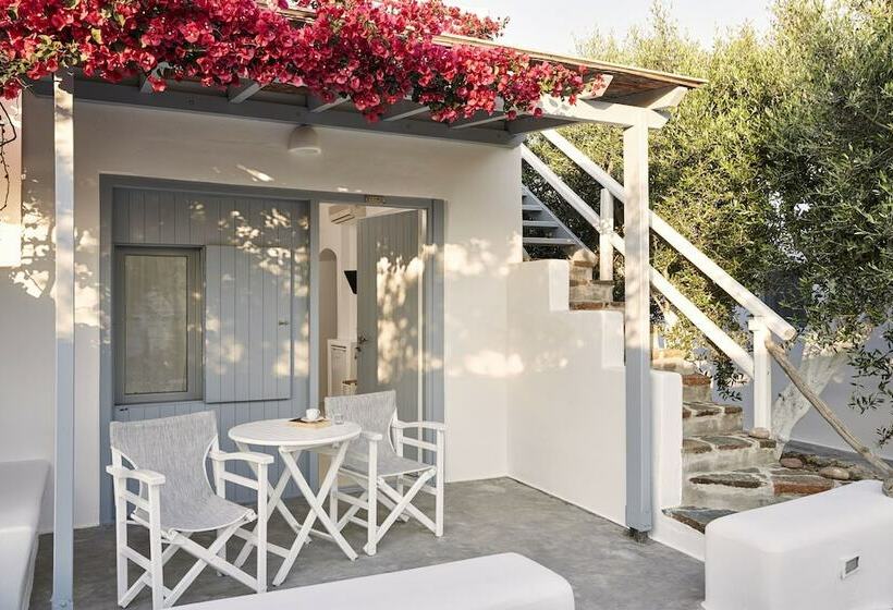 Estudio Estándar Vista Mar Lateral, Iliana Olive Branch