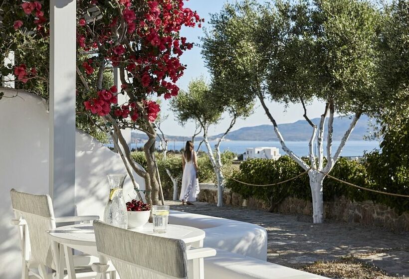 Estudio Estándar Vista Mar Lateral, Iliana Olive Branch