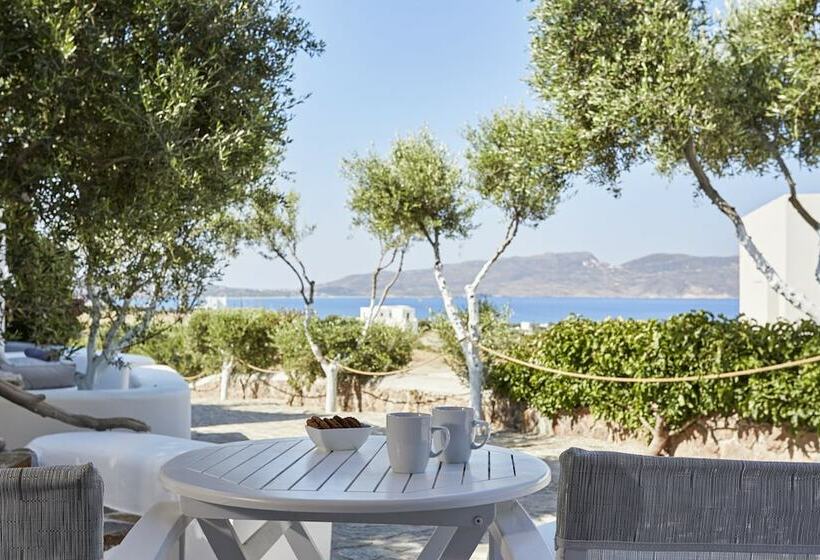 Estudio Estándar Vista Mar Lateral, Iliana Olive Branch