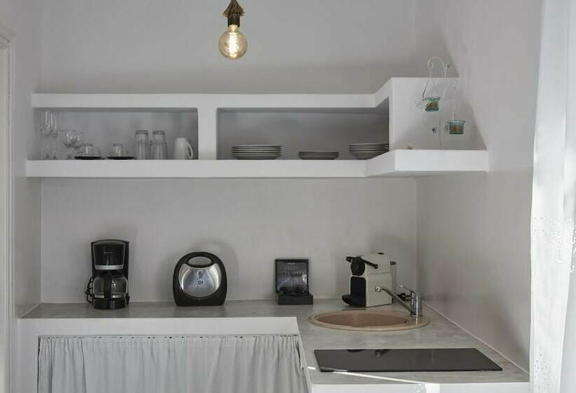 Estudio Estándar Vista Mar Lateral, Iliana Olive Branch