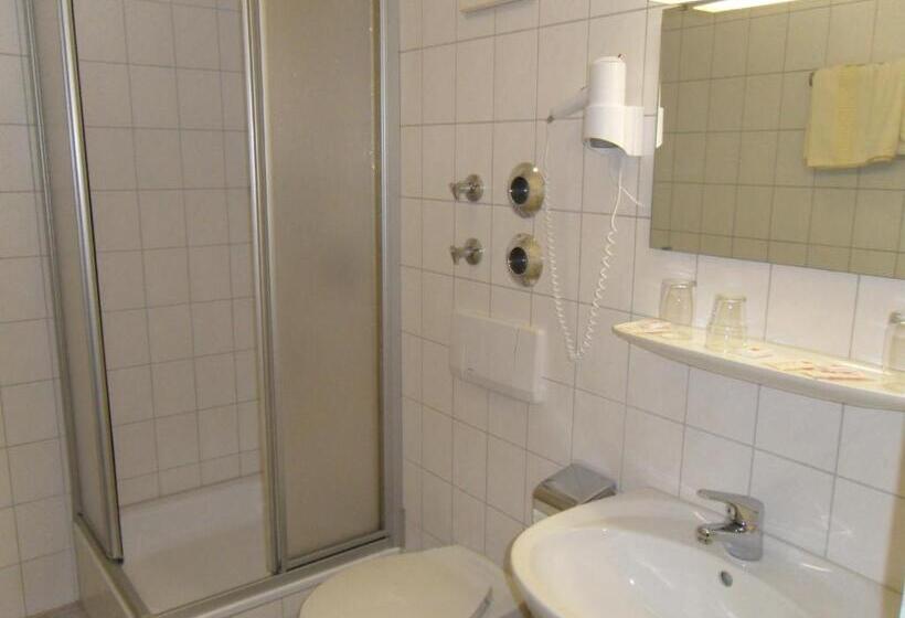 חדר סטנדרט יחיד, Gasthof Traube