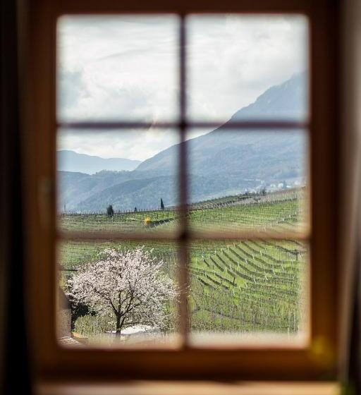 חדר קומפורט, Masatsch