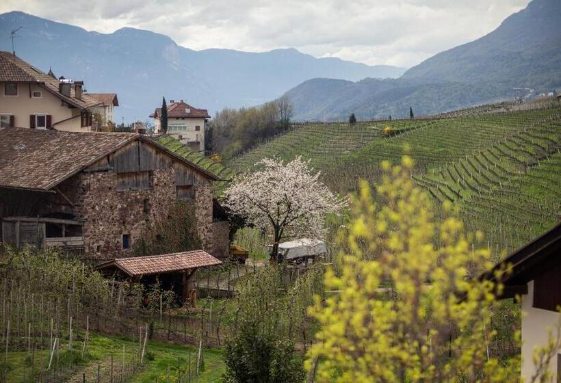 חדר סופריור, Masatsch