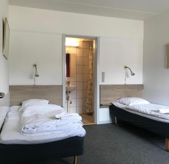 Четырехместный Номер Стандарт, Medio