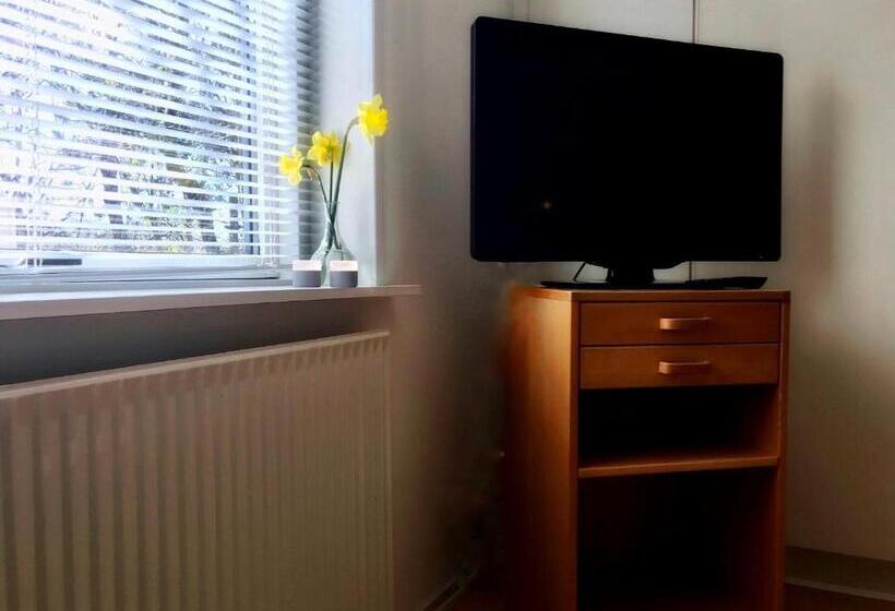 Семейный Номер, Medio