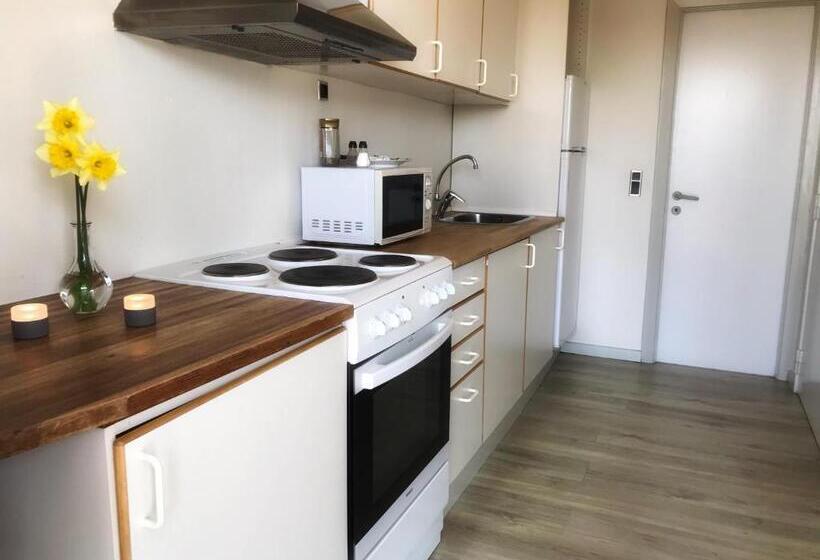 Студия Стандарт, Medio