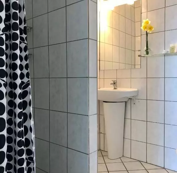استودیوی استاندارد, Medio
