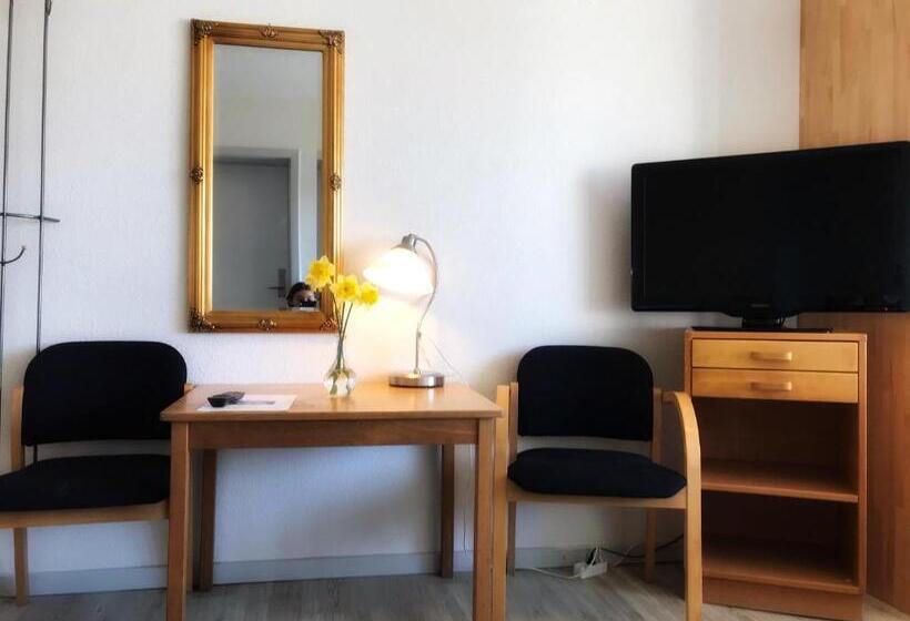 Студия Стандарт, Medio