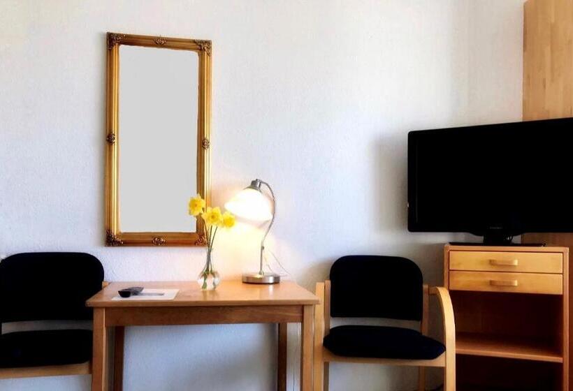 Студия Стандарт, Medio