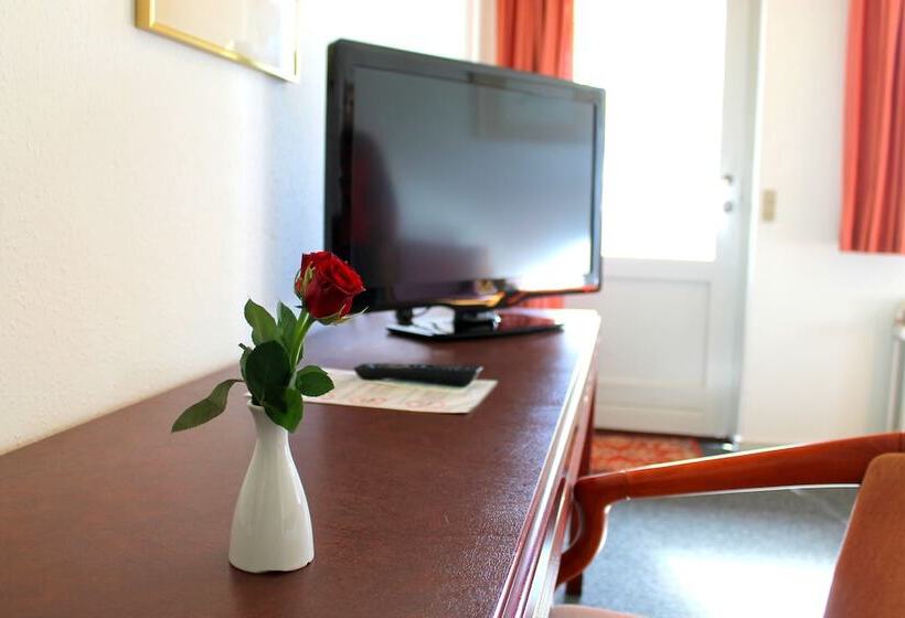 Номер Стандарт Индивидуальный, Medio