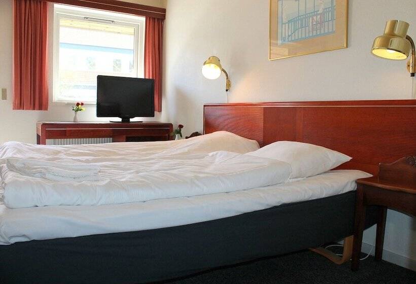 Номер Стандарт, Medio