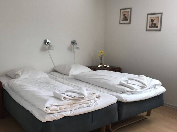 Студия Стандарт, Medio