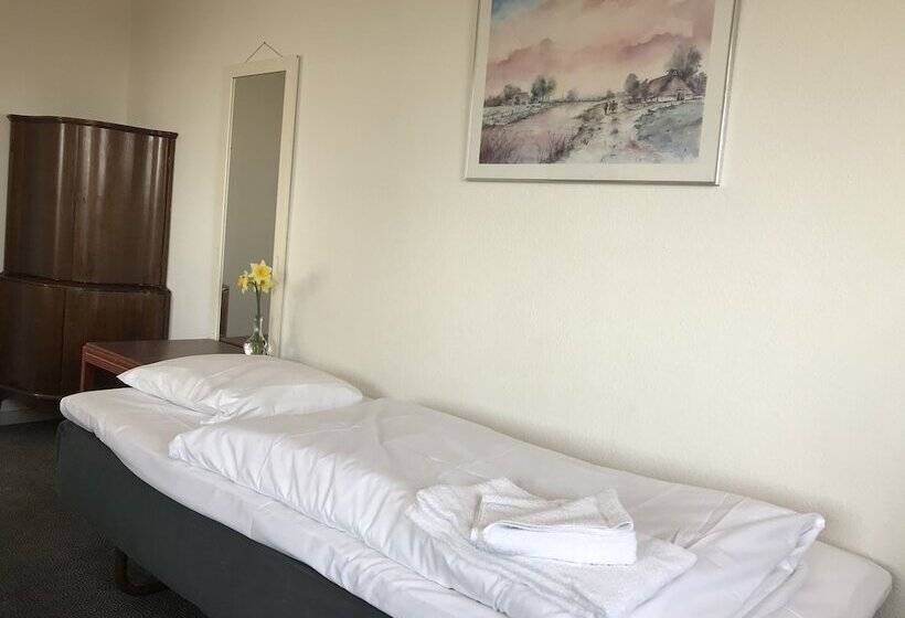 Студия Стандарт, Medio