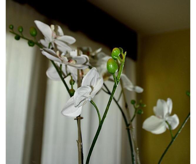 スタンダードトリプルルーム, Seapark Spa Resort