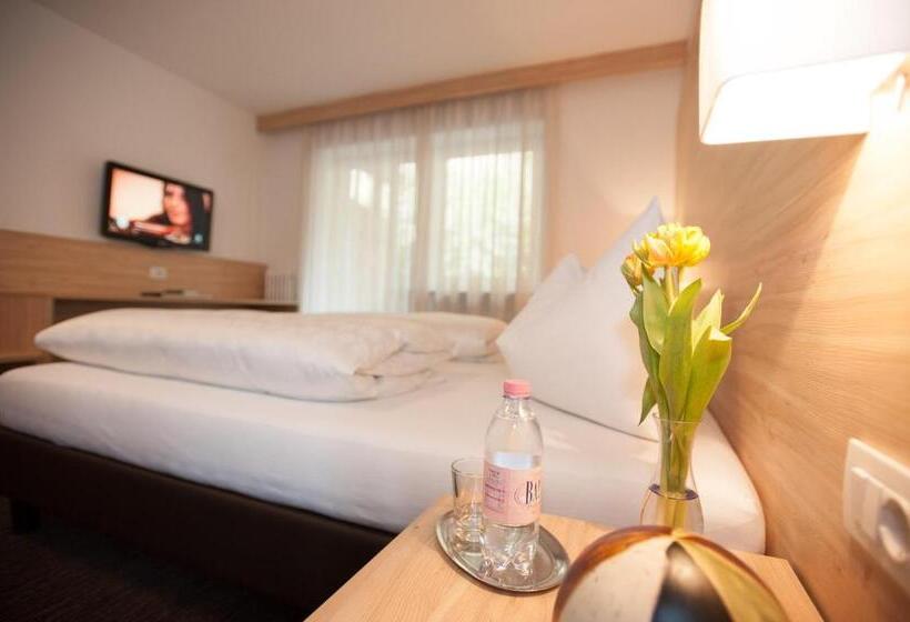 Номер Стандарт Вид на Горы, Stifter