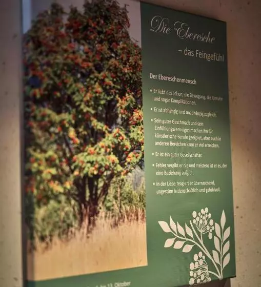 اتاق لوکس, Zedernhof Gesundheits  & Wellness