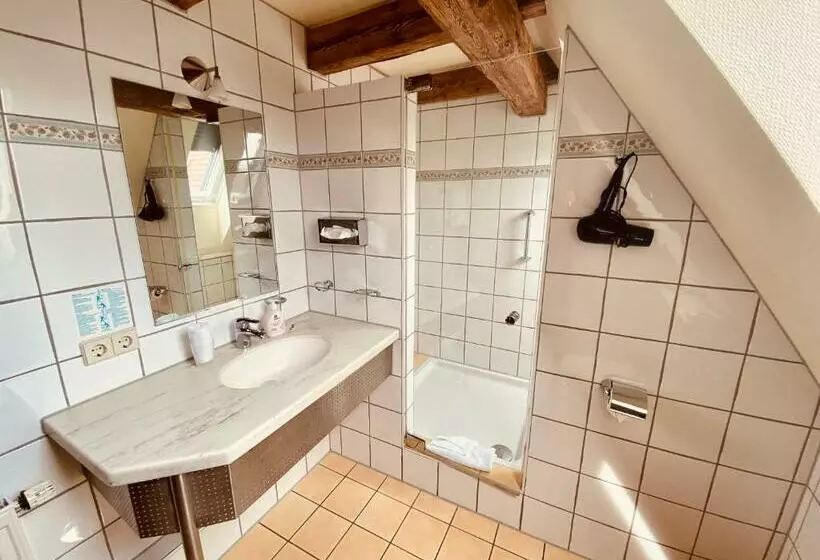 スタンダードシングルルーム, Stadthotel Waldhorn