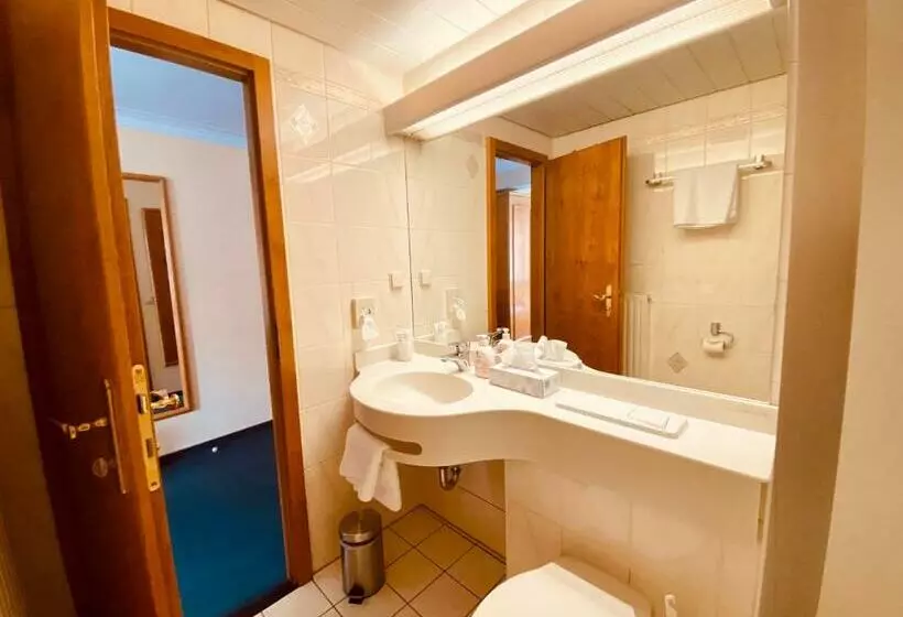 スタンダードシングルルーム, Stadthotel Waldhorn