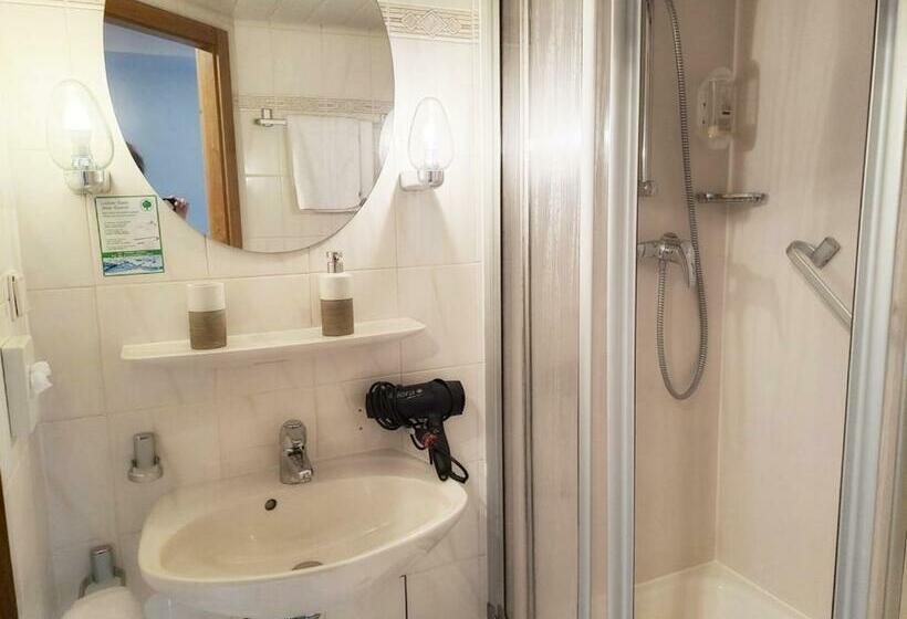 标准间, Stadthotel Waldhorn