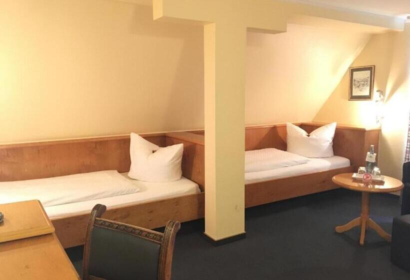 标准间, Stadthotel Waldhorn